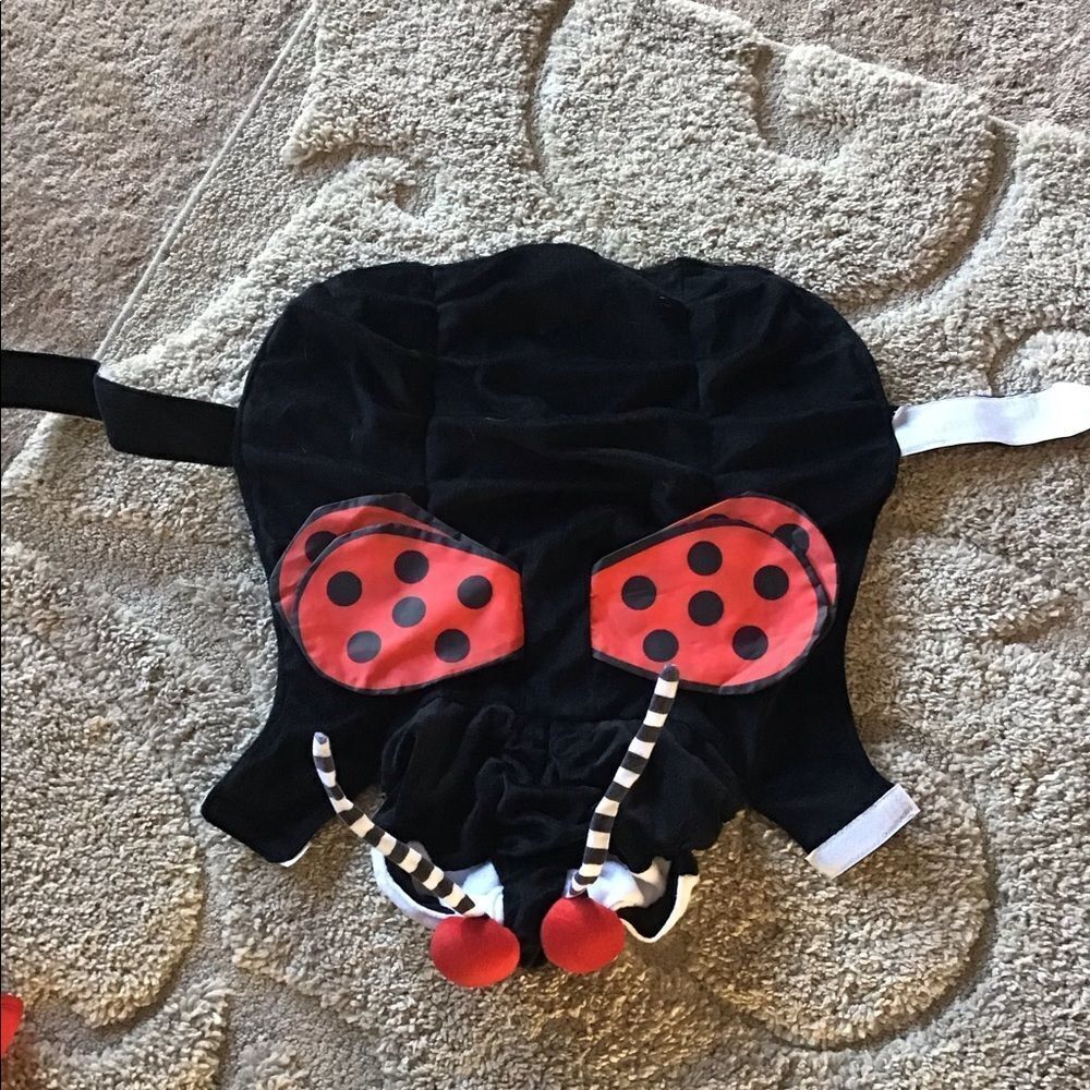 Ladybug Pet Costume 